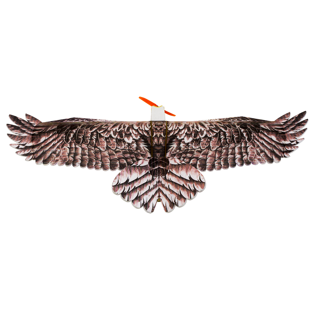 DW Hobby Eagle II EPP Aereo RC - Rc Hobby Plane recensione e prezzo